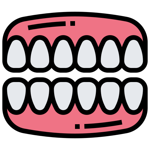 incisor